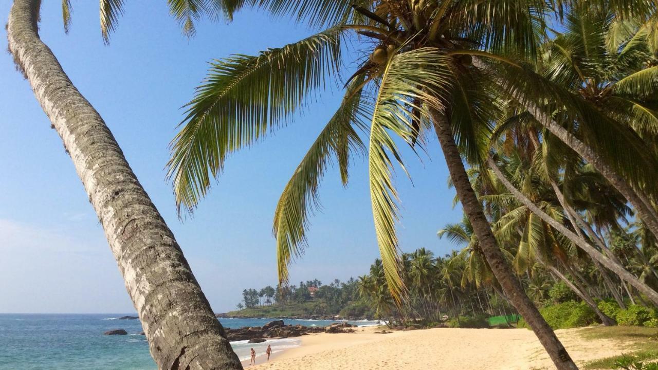 Green Garden Cabanas Tangalle Dış mekan fotoğraf
