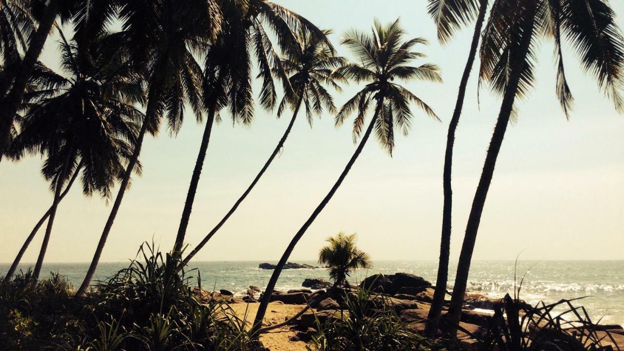 Green Garden Cabanas Tangalle Dış mekan fotoğraf