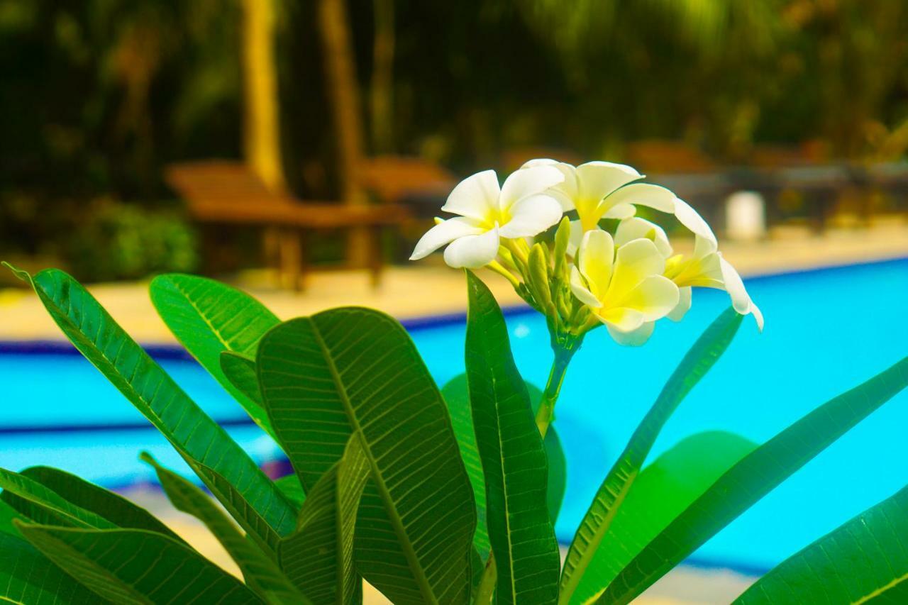Green Garden Cabanas Tangalle Dış mekan fotoğraf